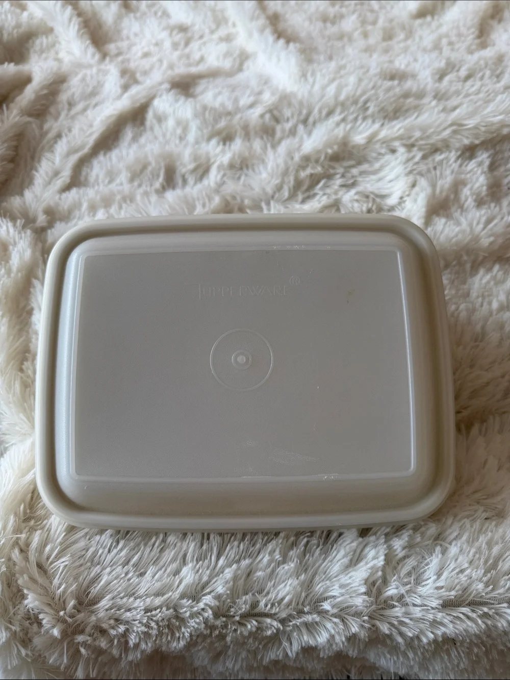 Tupperware Vintage ice cream keeper